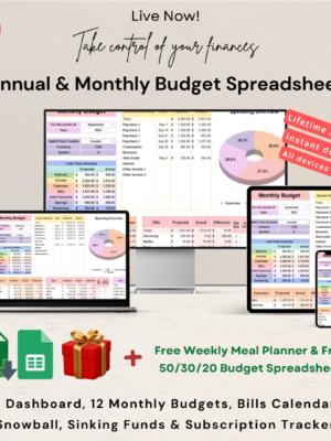 Visual representation of an Annual & Monthly Budget Spreadsheet - a powerful tool for financial planning and management